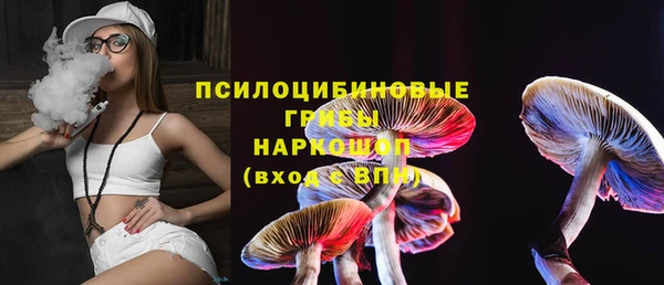МДПВ Алзамай