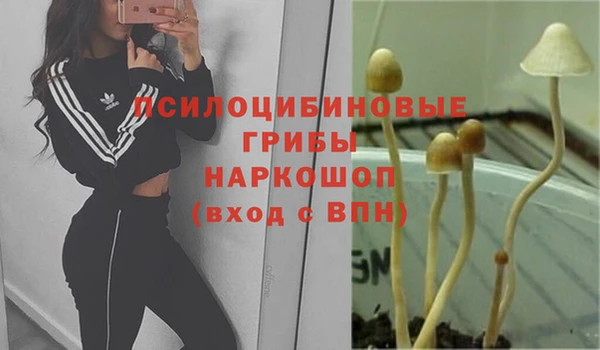 МДПВ Алзамай
