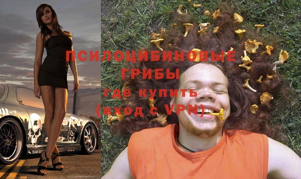 МДПВ Алзамай