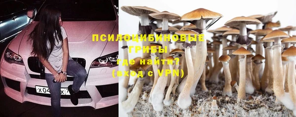 МДПВ Алзамай