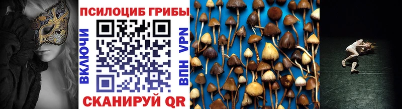 Галлюциногенные грибы прущие грибы  где продают наркотики  Серов 