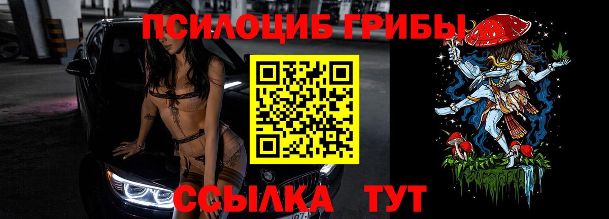 Галлюциногенные грибы Psilocybine cubensis  где найти наркотики  Вход с VPN  Серов  Псилоцибиновые грибы Psilocybe 